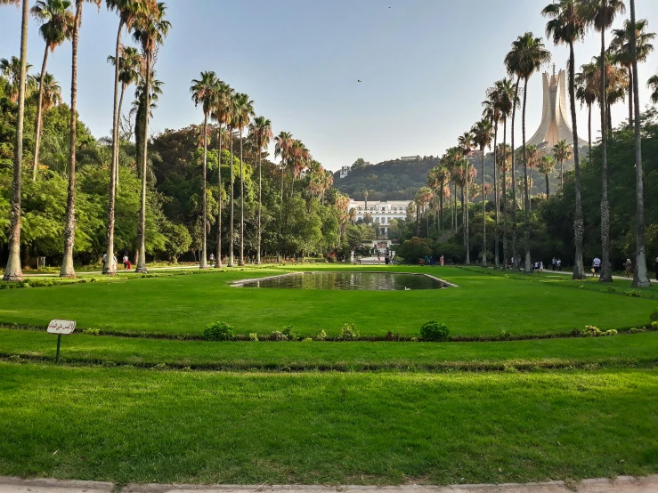 a park with palm trees and a green lawn