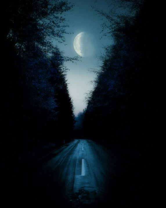 the view of an unpaved road with trees and the moon lit up by moonlight