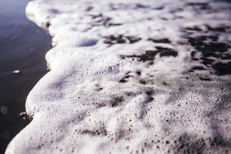 close up of an area with sand and foam and animal footprints