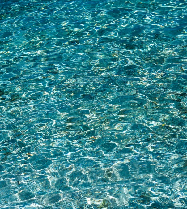 water that is blue with green leaves on the bottom