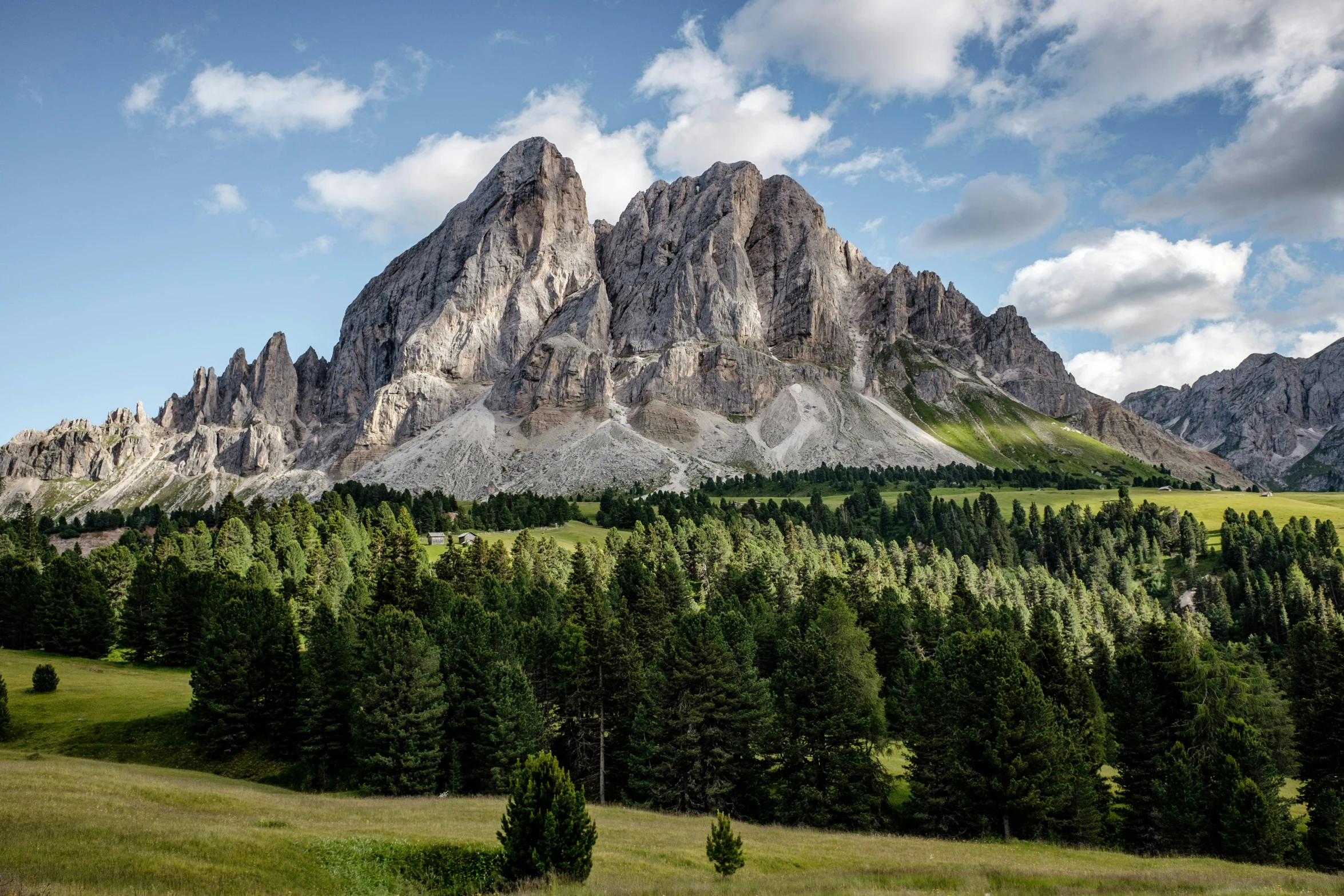 a large mountain in the distance with trees on both sides