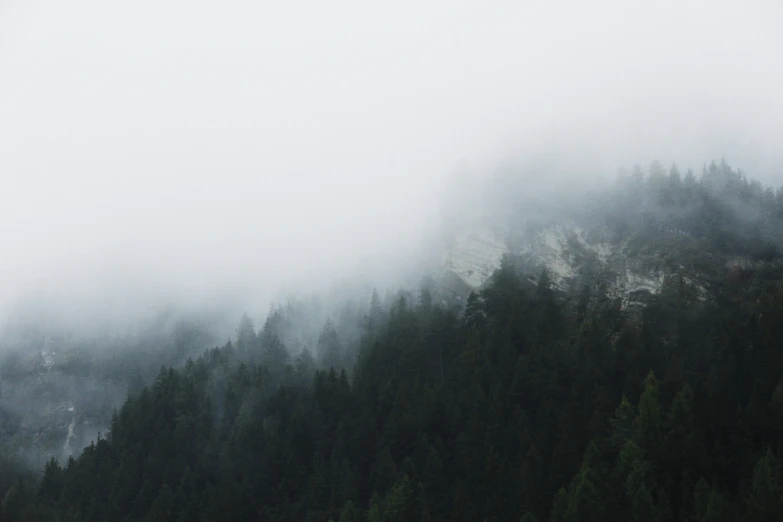 some mist and trees on a hill