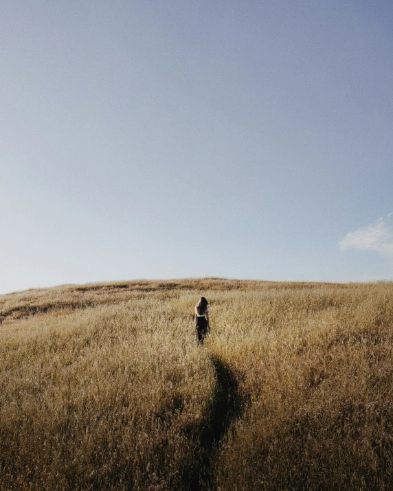 a lone person walking in a vast field