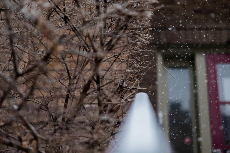 a house with a snow covered front yard next to some bushes