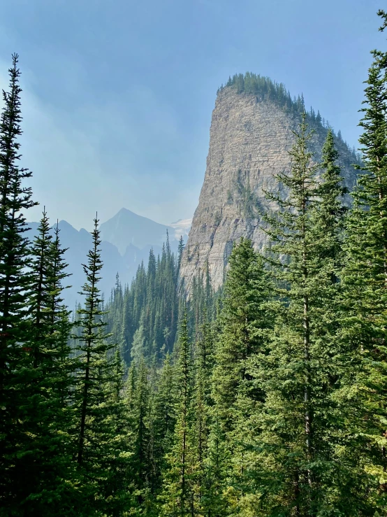 a large mountain towering over the top of a forest