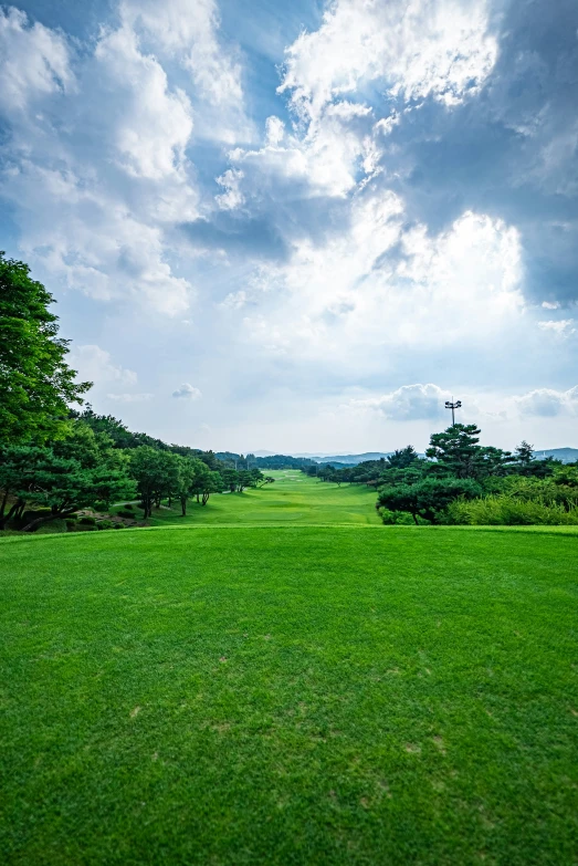 an outdoor golf green with trees and cloudy sky