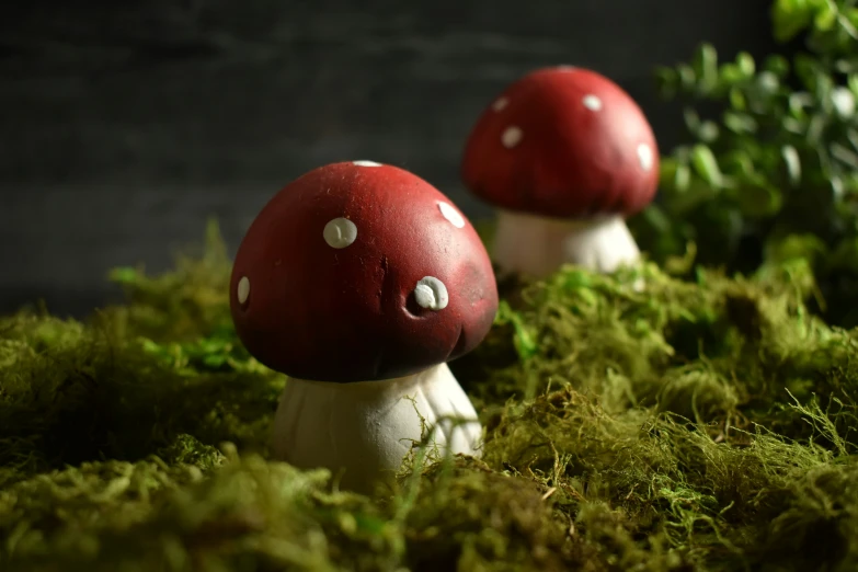 two small red mushrooms in the middle of a forest