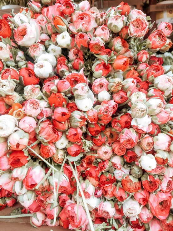 a bush full of pink and white flowers