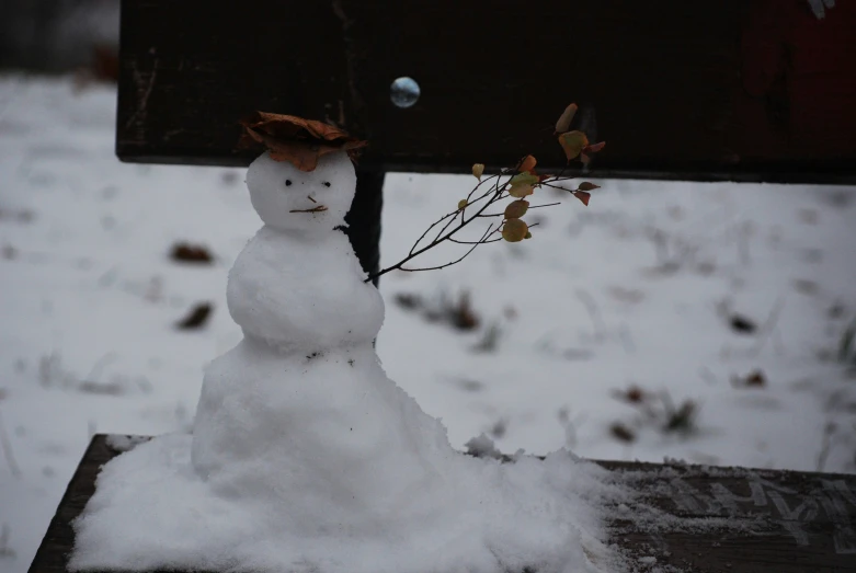 a snowman has some leaves on it, and is standing on some snow