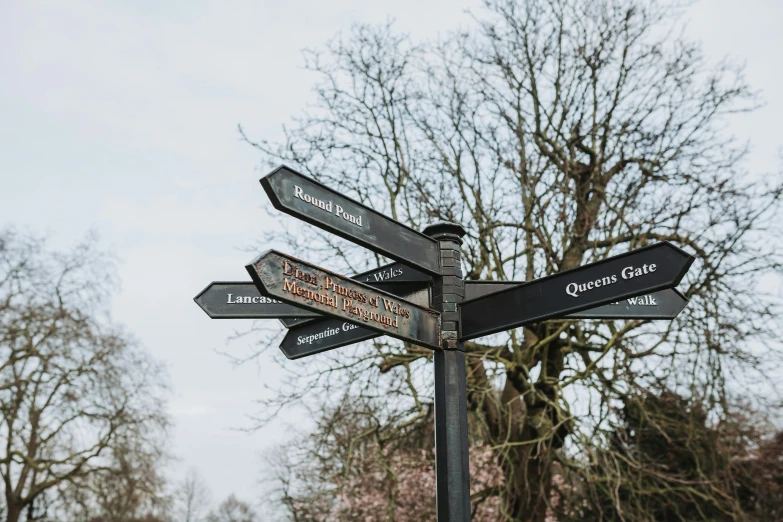 directional street signs in a park with trees in the background