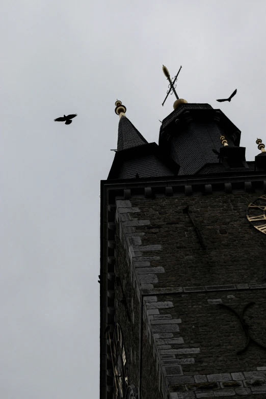 the birds are flying around the old building