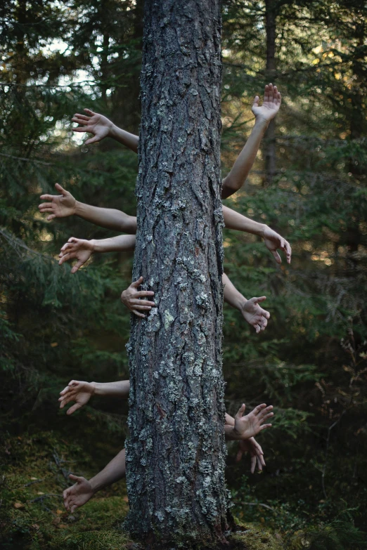 many people reaching up from a tree to touch one another