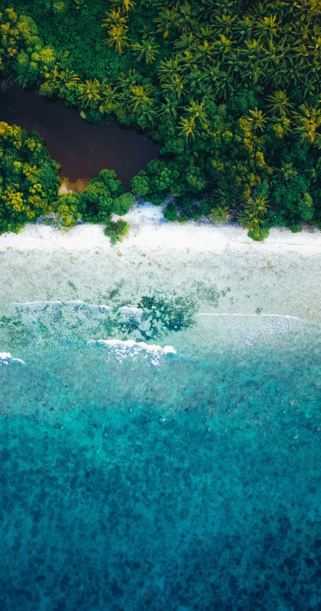 aerial view of the water and trees surrounding the beach