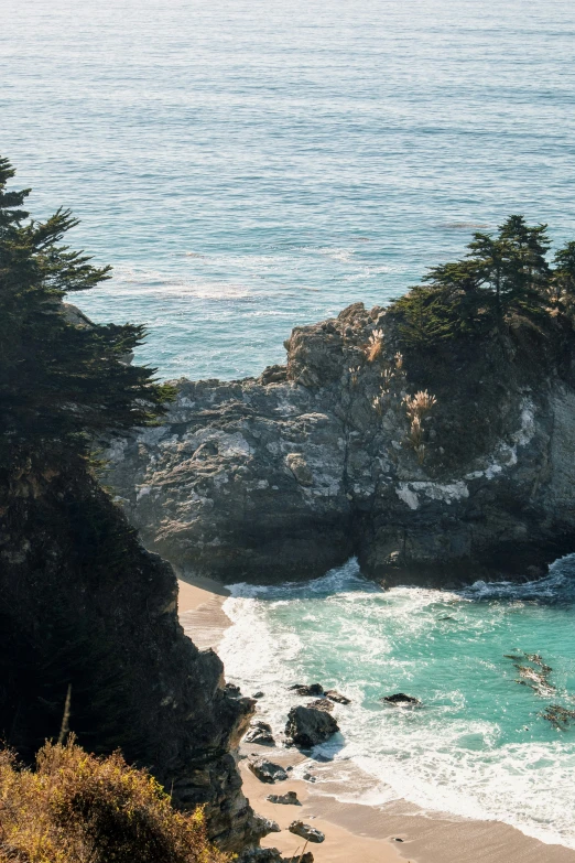 two people wading in the ocean next to some trees