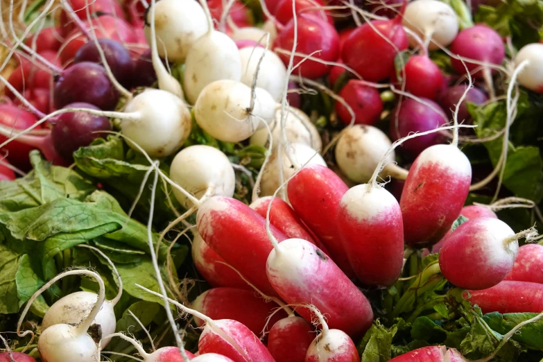 radishes, eggplant and onion in a pile