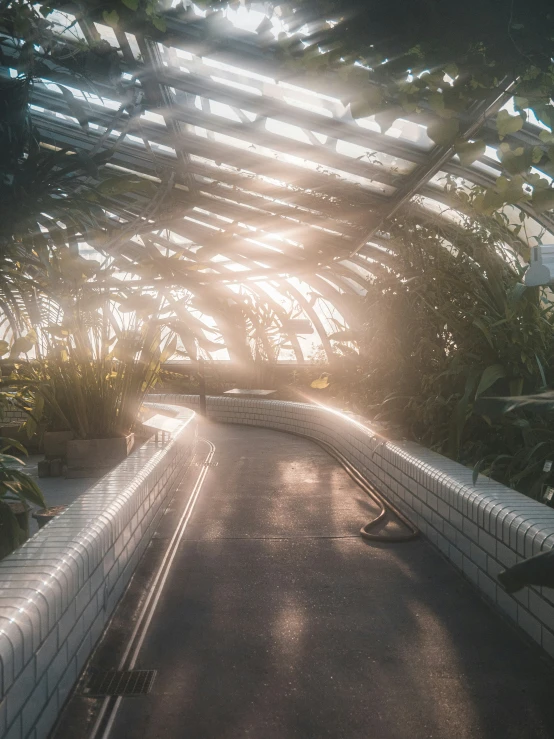 a large walkway near trees with sunlight shining