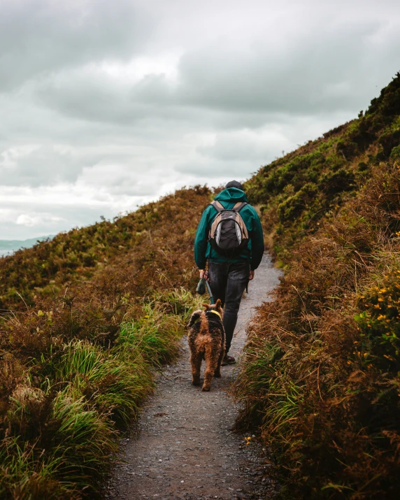 a man wearing a backpack is walking his dog