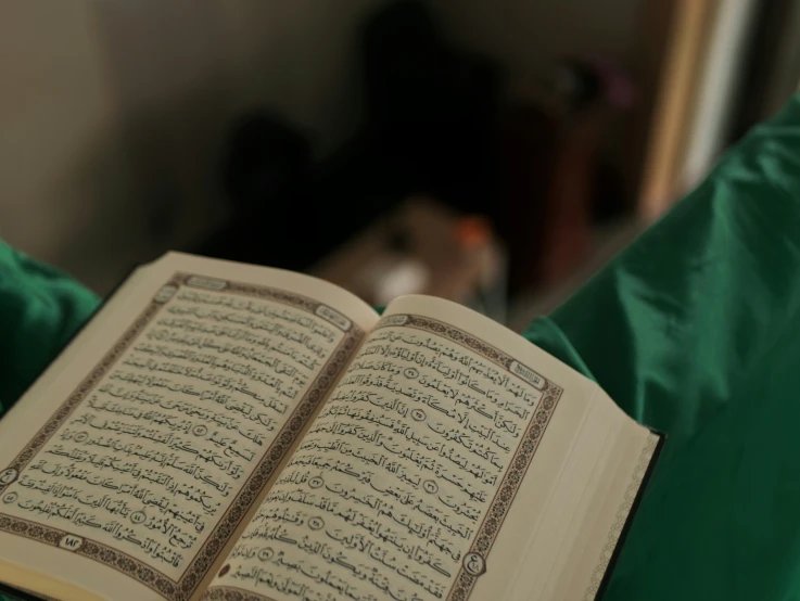 an open book laying on the bed with green sheets