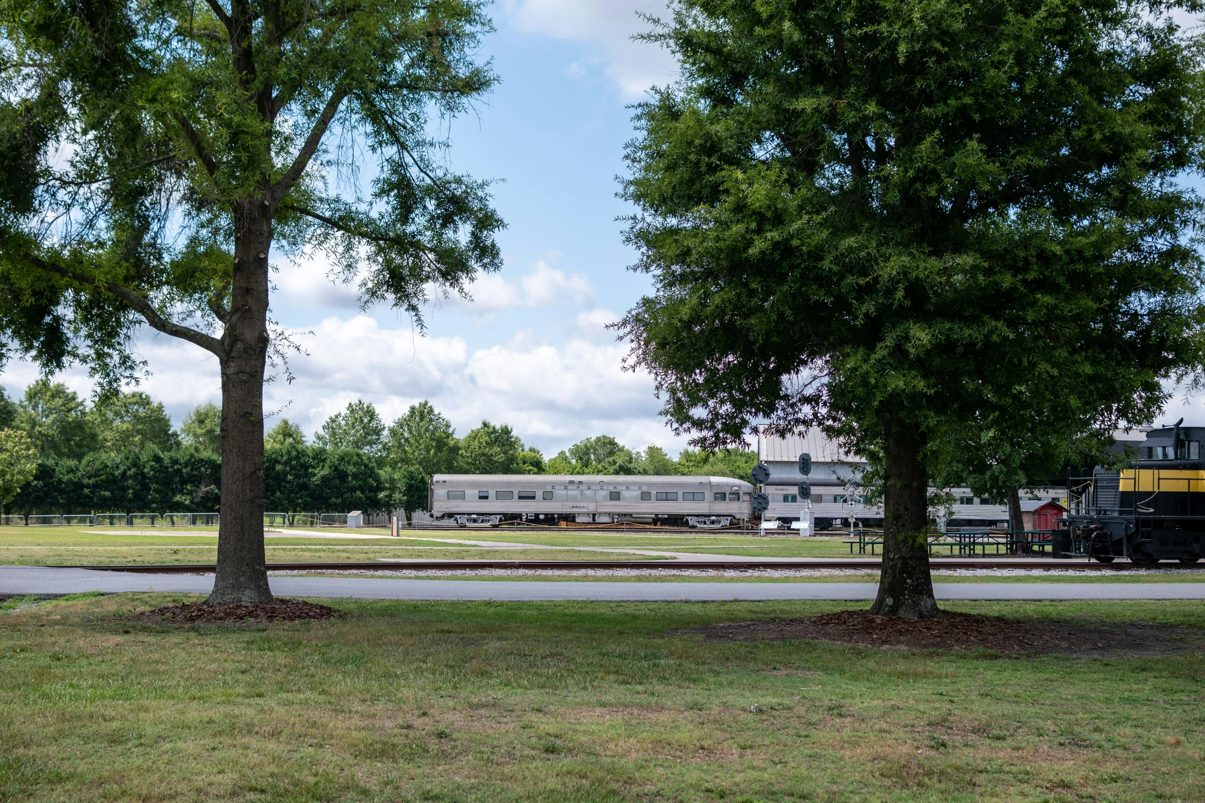 there are two trees in front of a bus stop