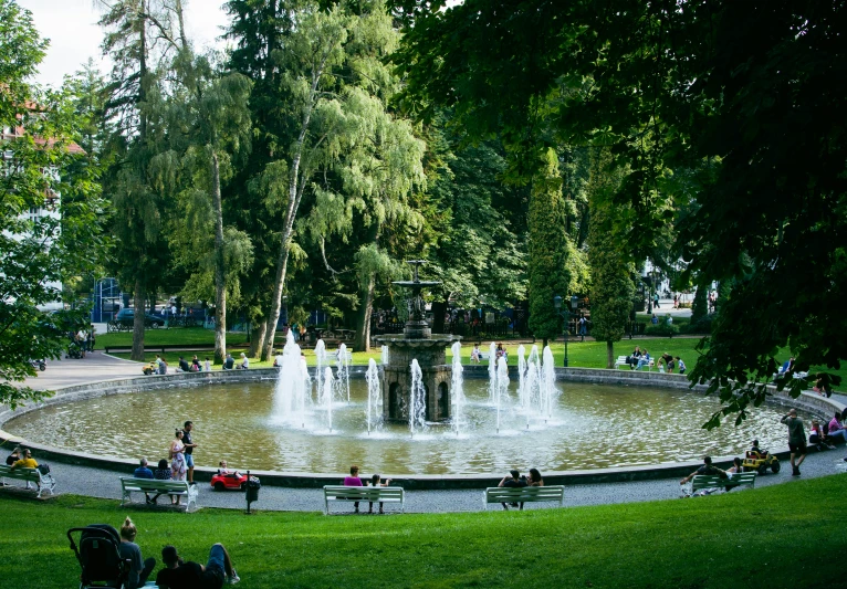 many people sitting on benches near a pond and trees