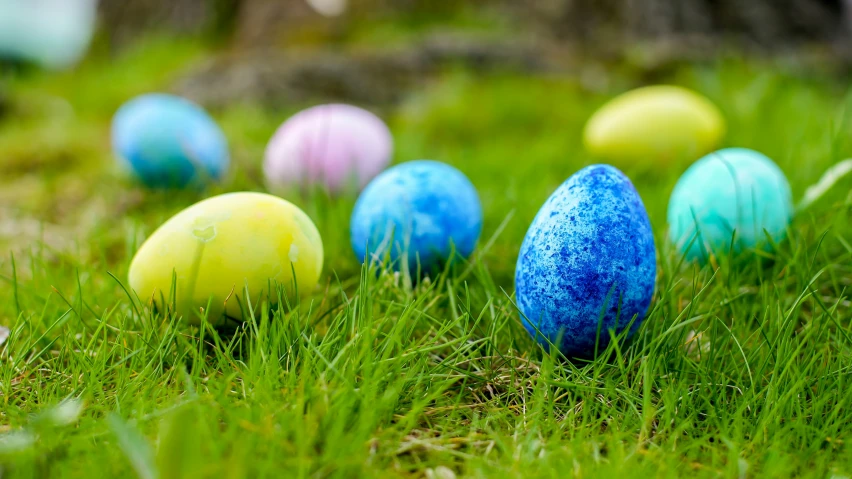 an assortment of eggs in the grass