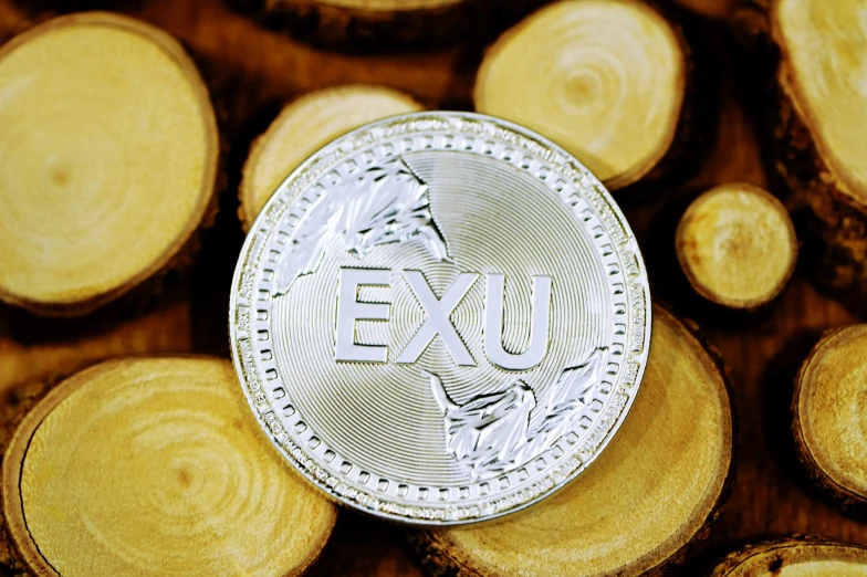 an exu coin resting on wood logs