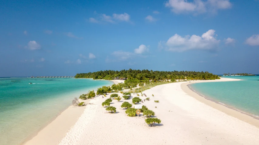 a beach with white sand, water and trees