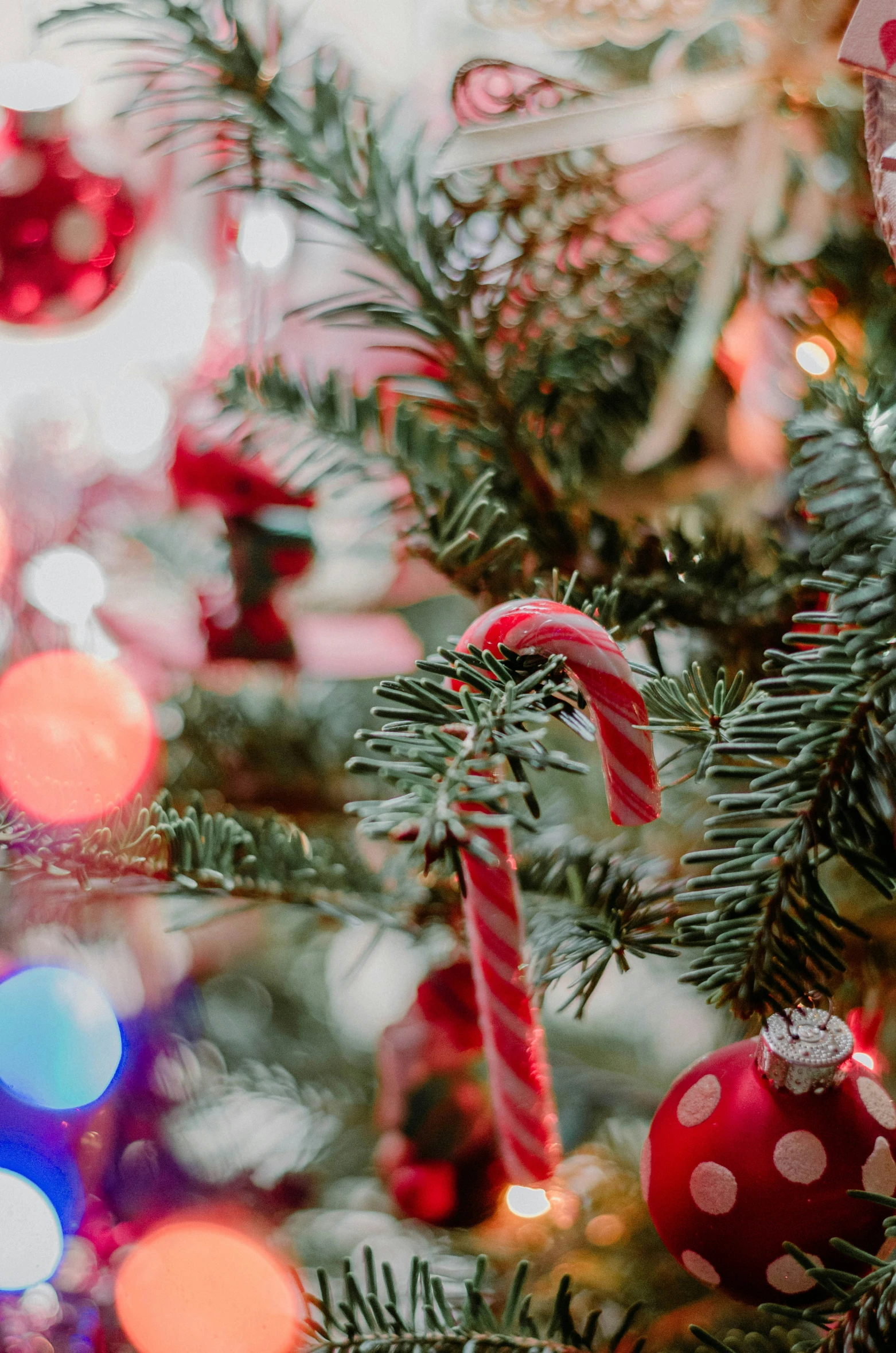 a close up view of a decorated christmas tree