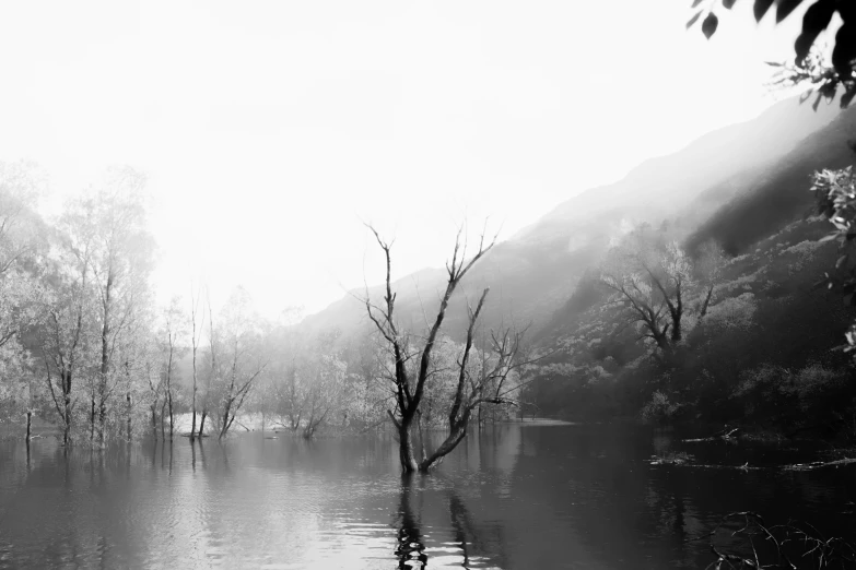 the fog on the water is reflecting the mountains