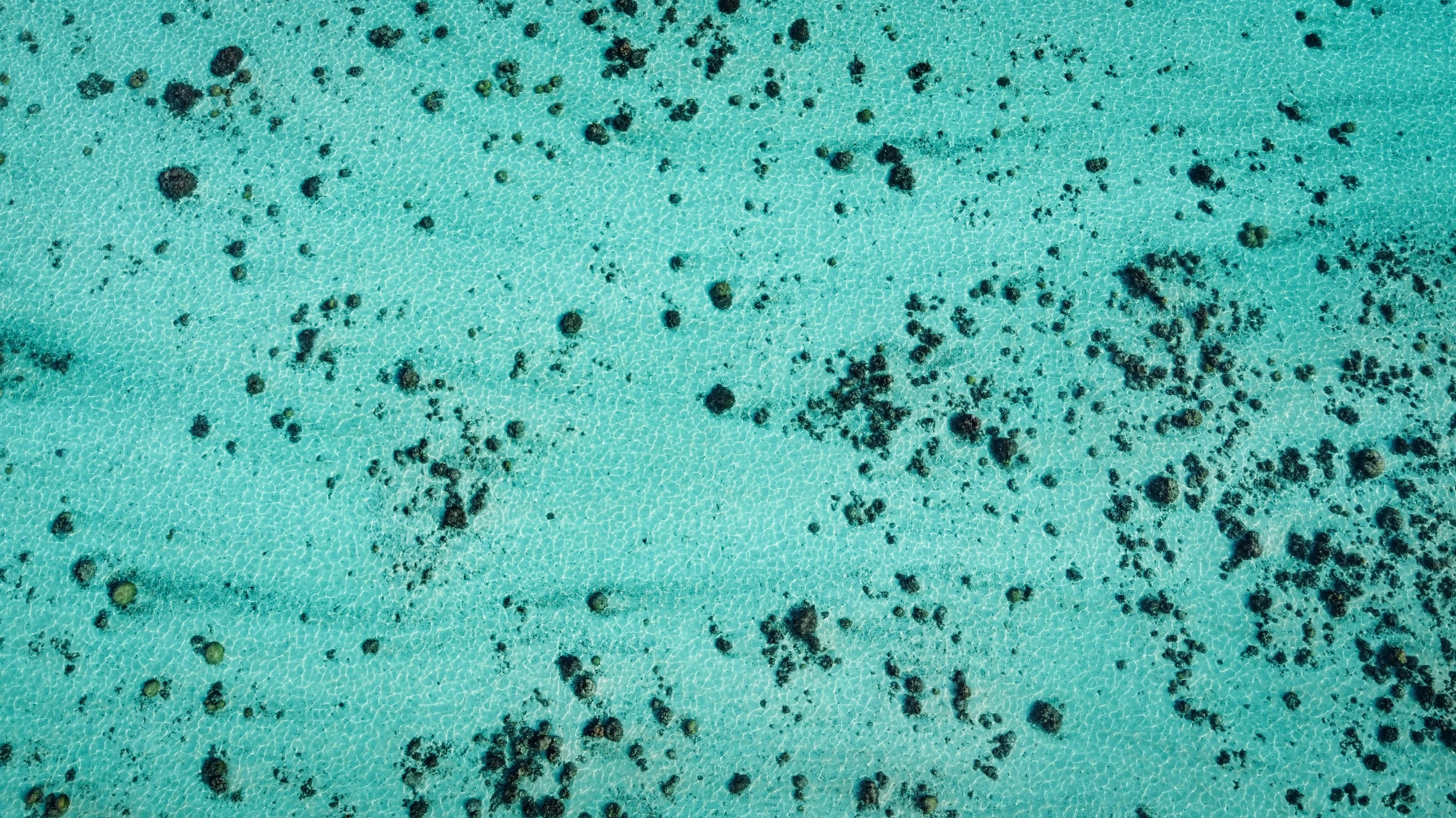 some green and black rocks in the water