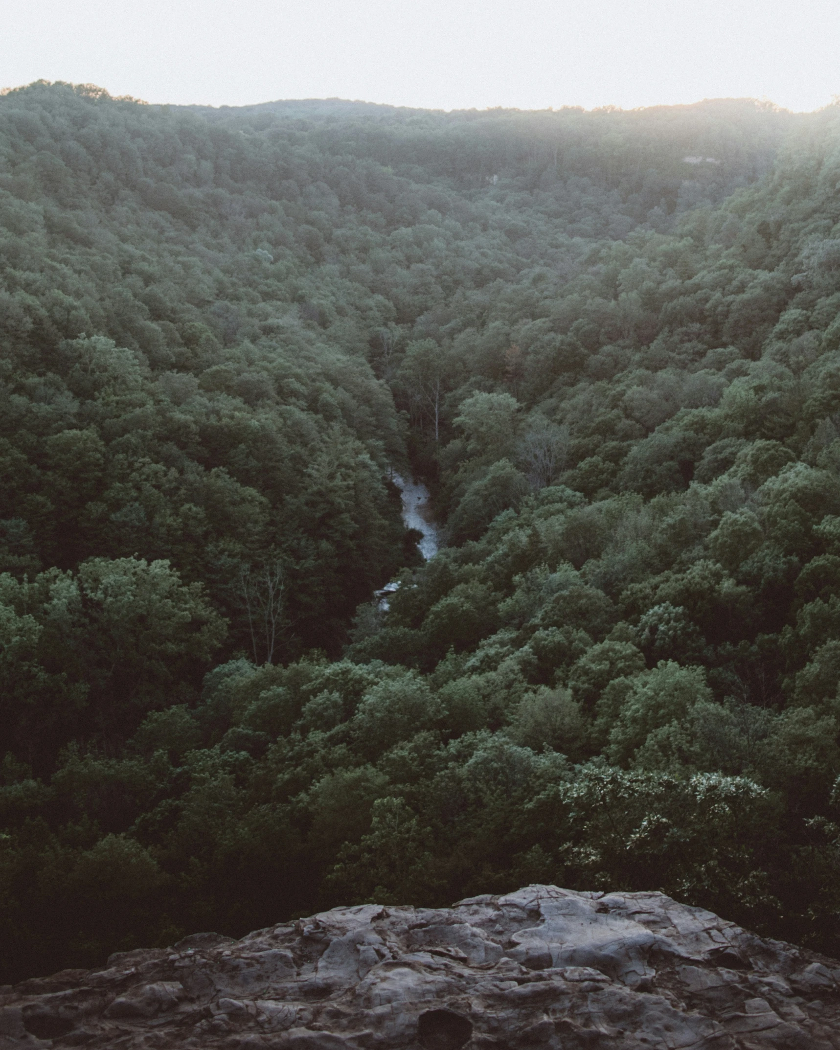 the view of a wooded area from above the valley