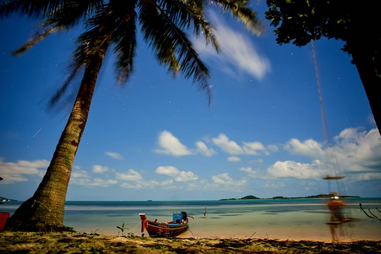 two people are standing in the ocean under a palm tree