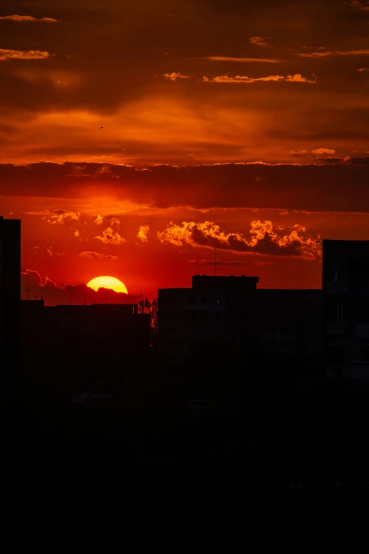 the sun rises above an urban city skyline