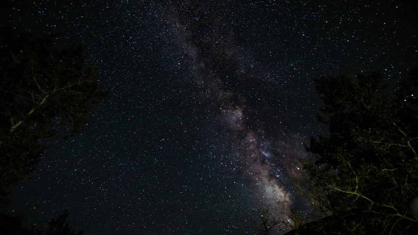 the night sky with many stars and trees