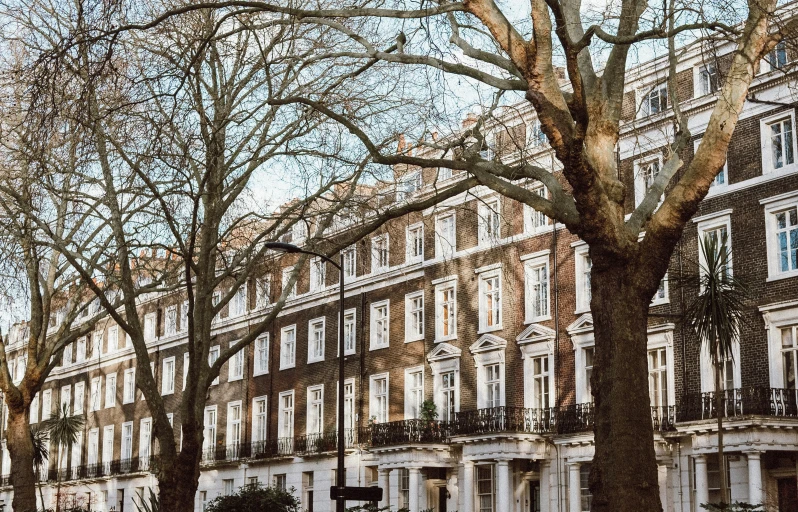 several townhouses with large trees near the buildings