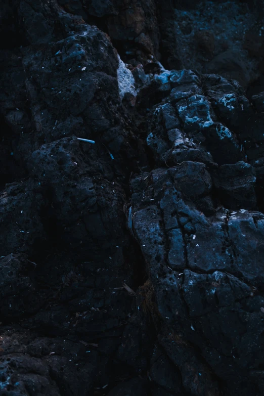 a bird sitting on the rock with a dark background