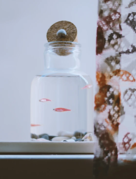 a clear jar that has water inside and fish in it