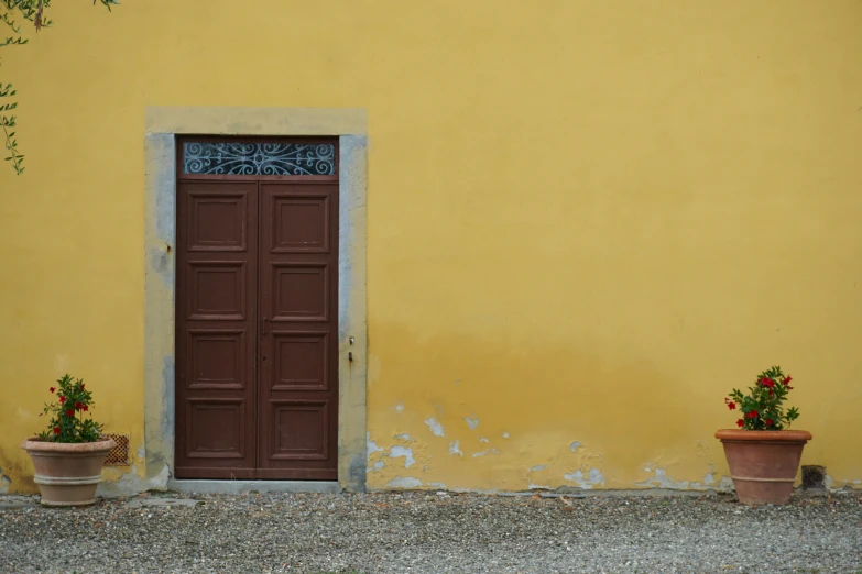 two potted plants next to a doorway on an adobe - style building