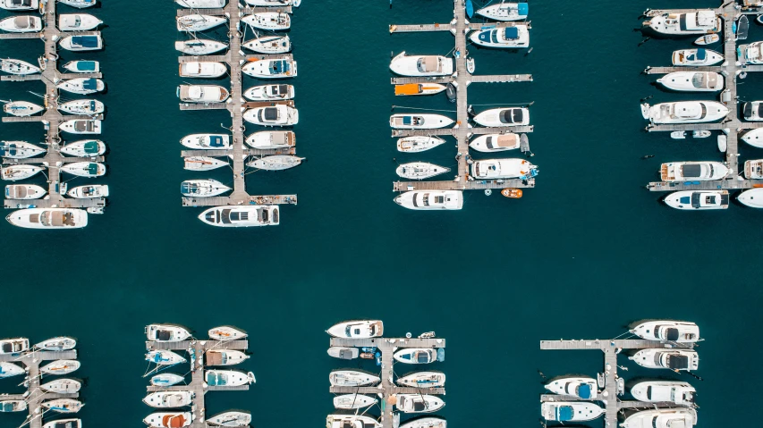 aerial view of white yachts docked at pier