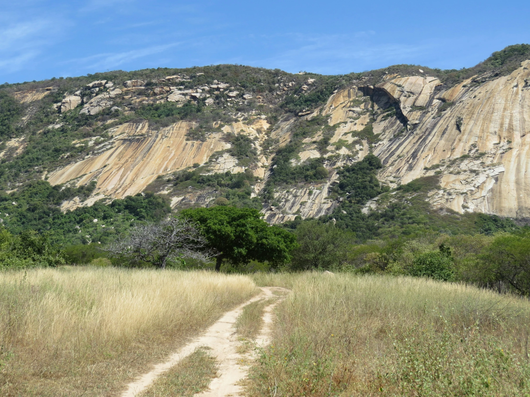 dirt road in front of mountains and trees