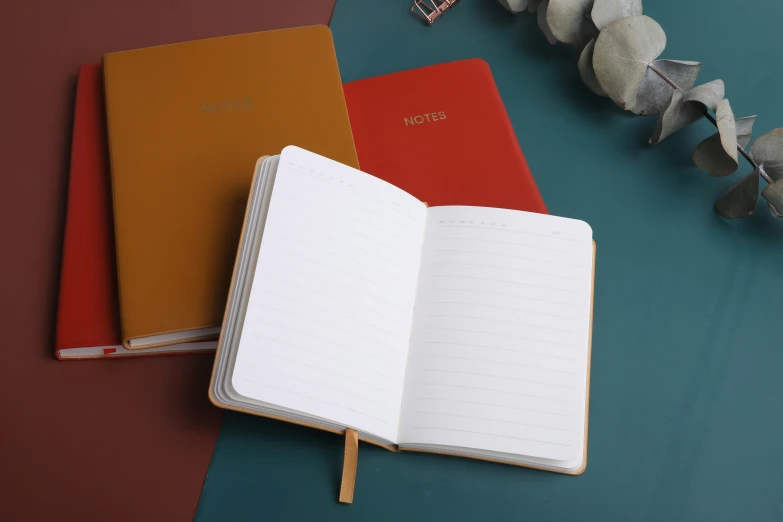 two notebooks, one with lined paper, are on a desk
