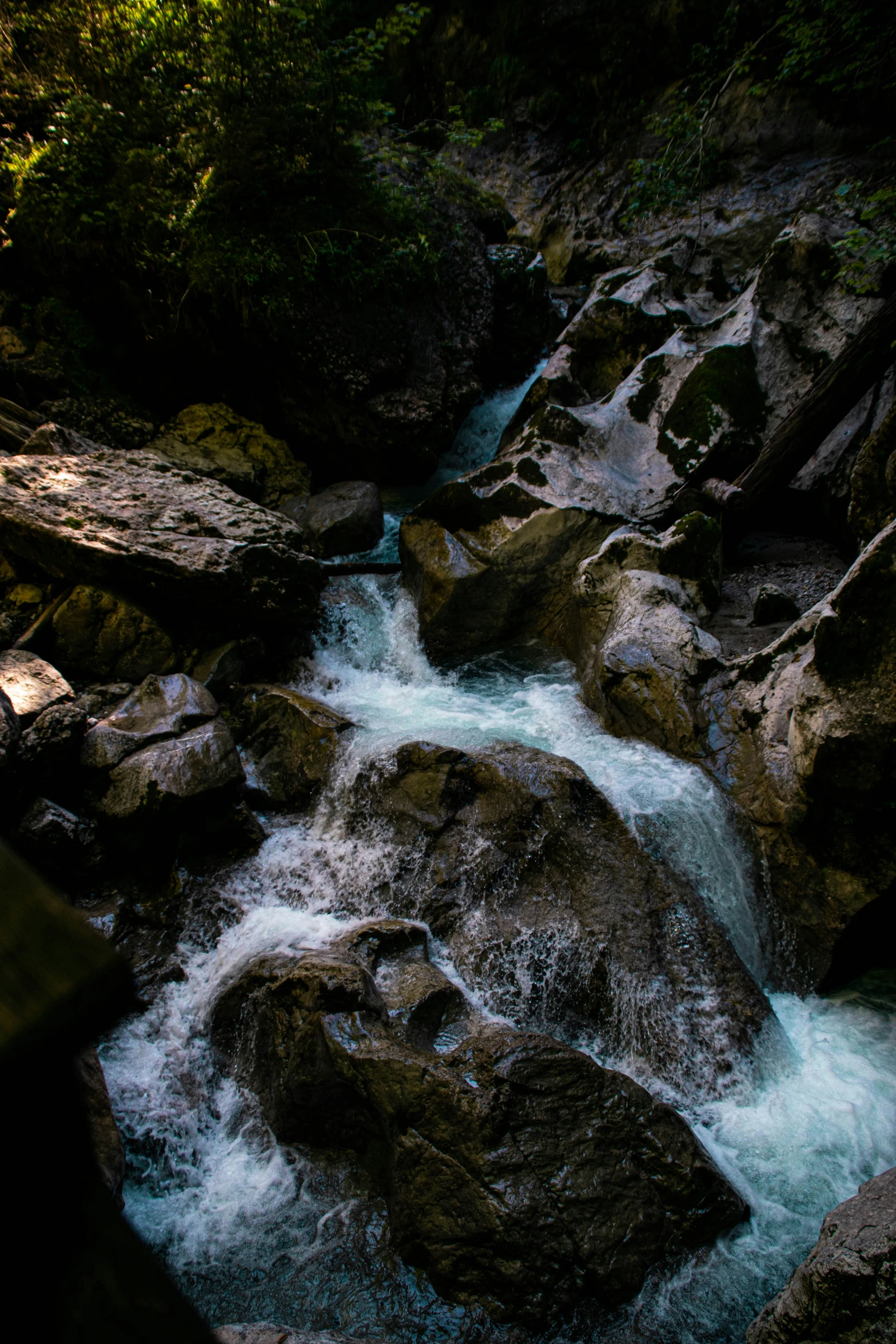 a river runs through the trees as it goes through the rocks