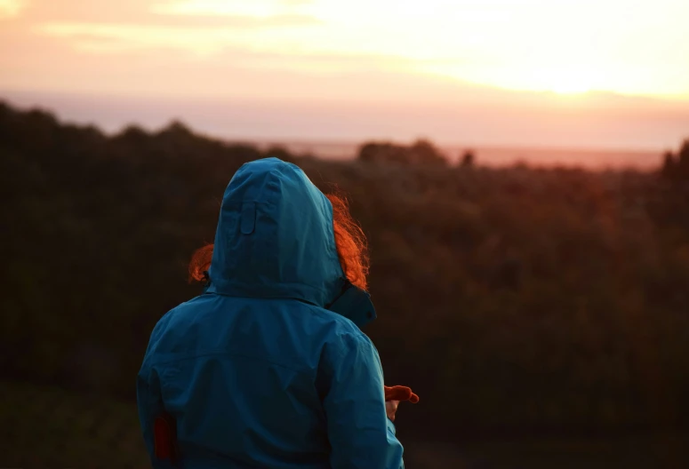 a person wearing a jacket looks at a sunset