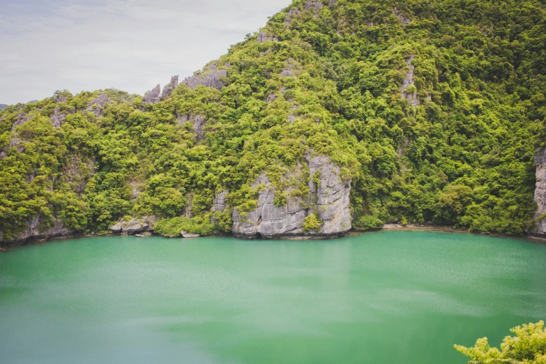 large, beautiful blue lake surrounded by a lush green jungle