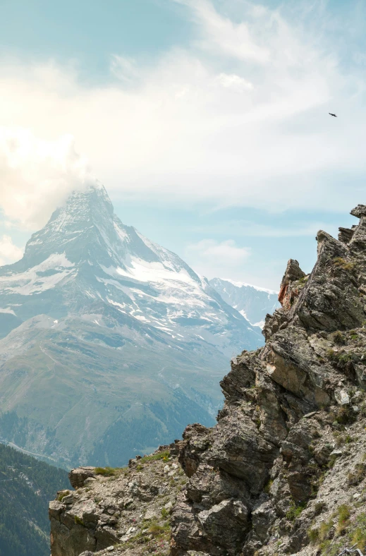 a bird sitting on top of a tall mountain