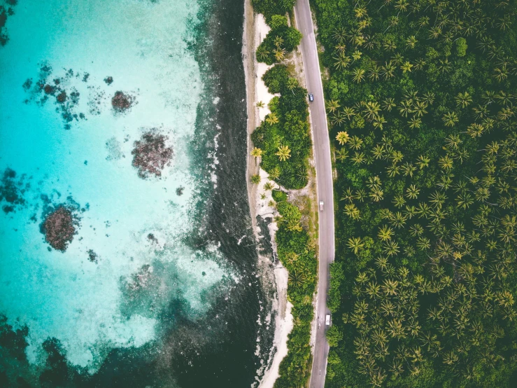 an aerial s of a tropical road in front of water