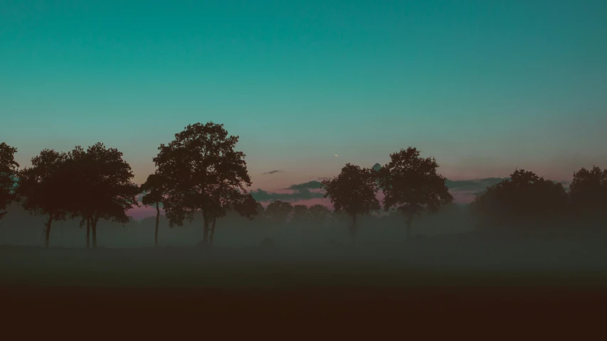 the tree lined field is in a dark colored area