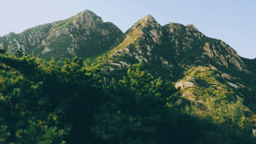 the view of mountains in the background, with trees in front