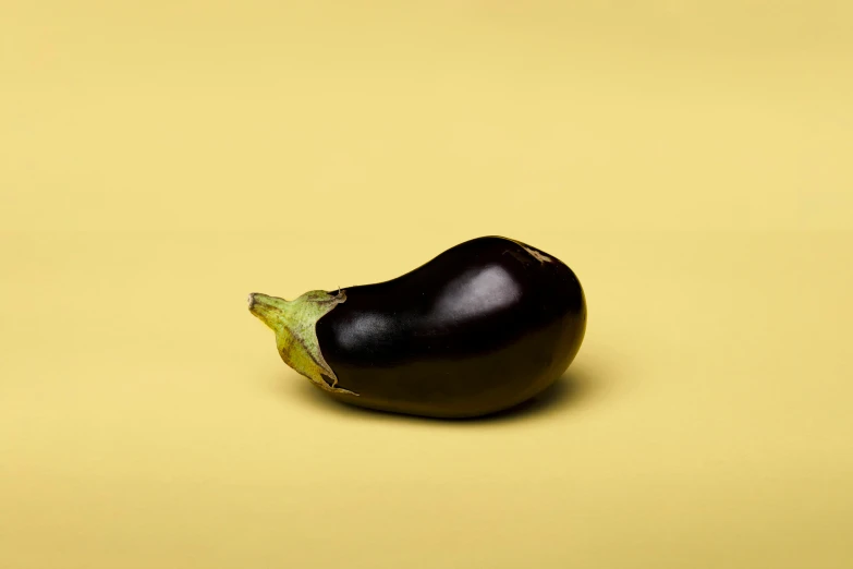 a single eggplant in an almost empty studio po