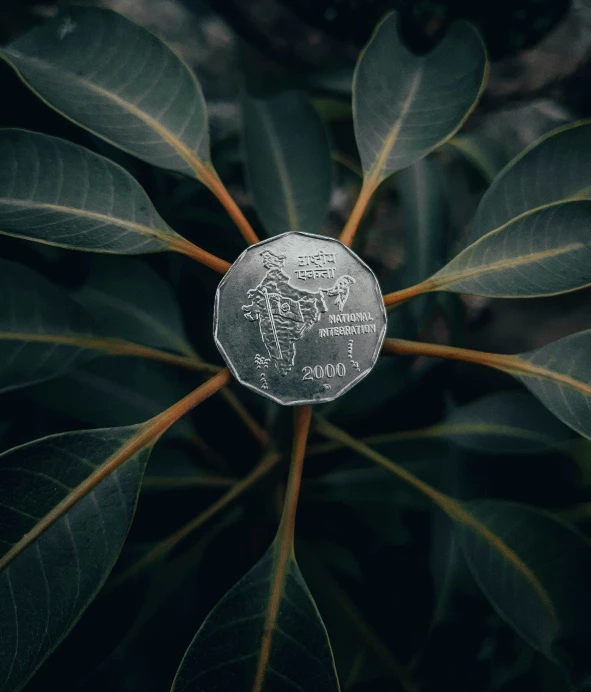 the head of the fiji dollar on top of the leaves